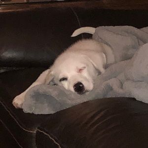 Meet your Posher, Dwayne